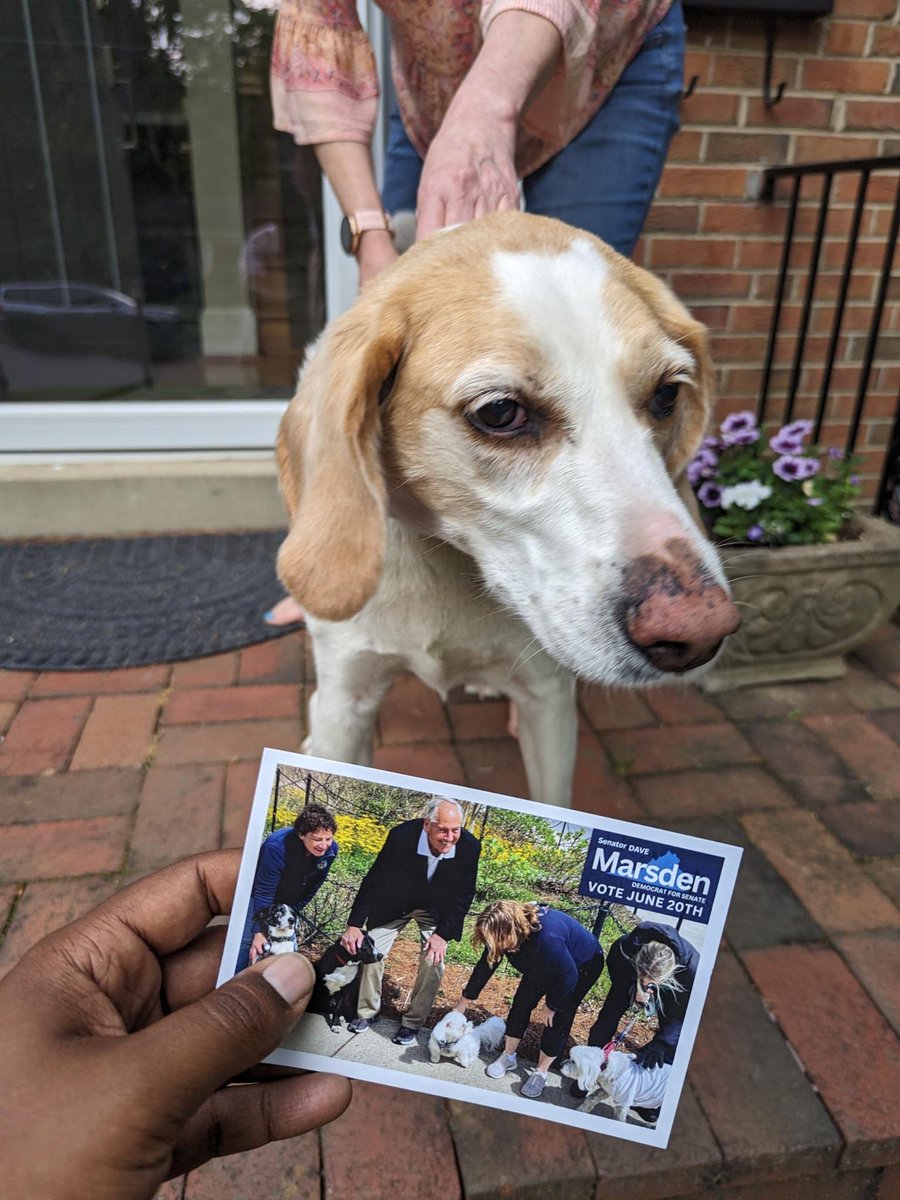 Dave Marsden tweet media