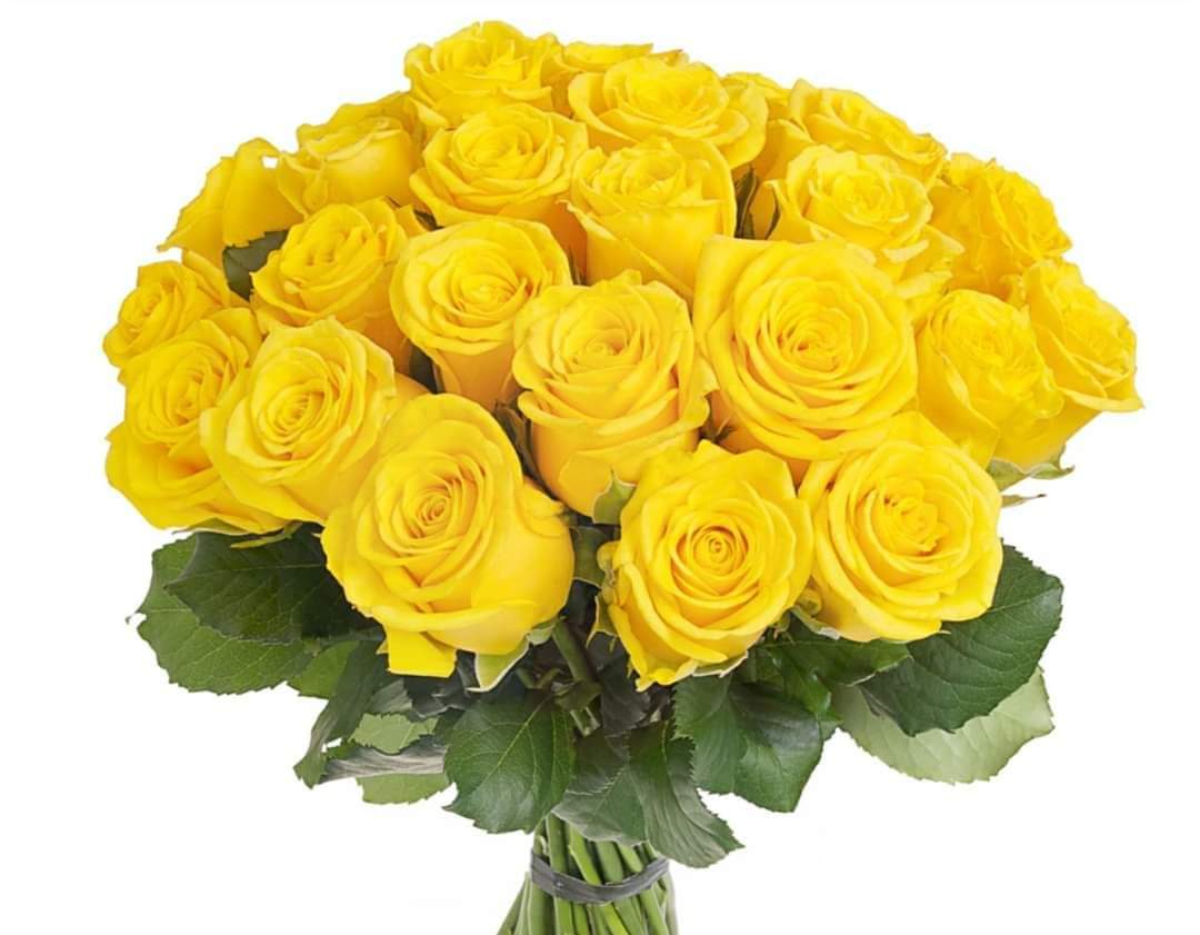 raffacarra's tweet photo. #auguri https://t.co/qIe5VS1ZKV