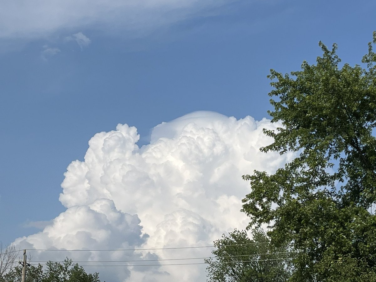 Andrew Ansorge tweet media