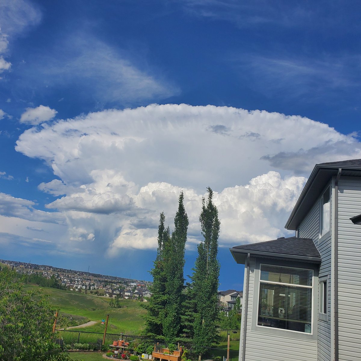 Mushroom cloud in NW Calgary #abweather #abstorm #yyc