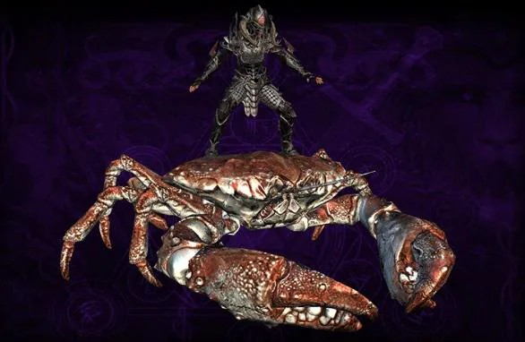 🦀 CritCrab 👑 tweet media