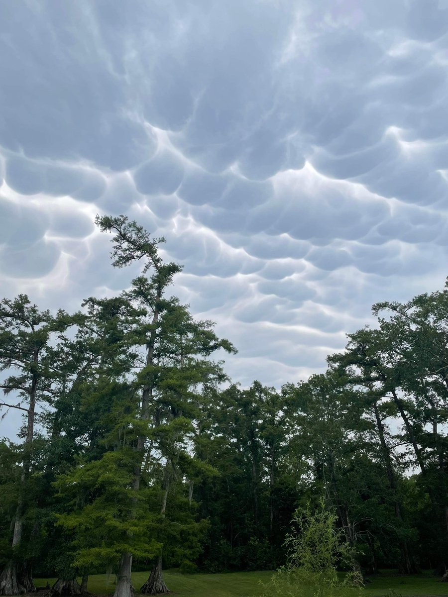 Beautiful mammatus in Belle Chasse. 📸 Corrie Coyne #lawx @FOX8NOLA