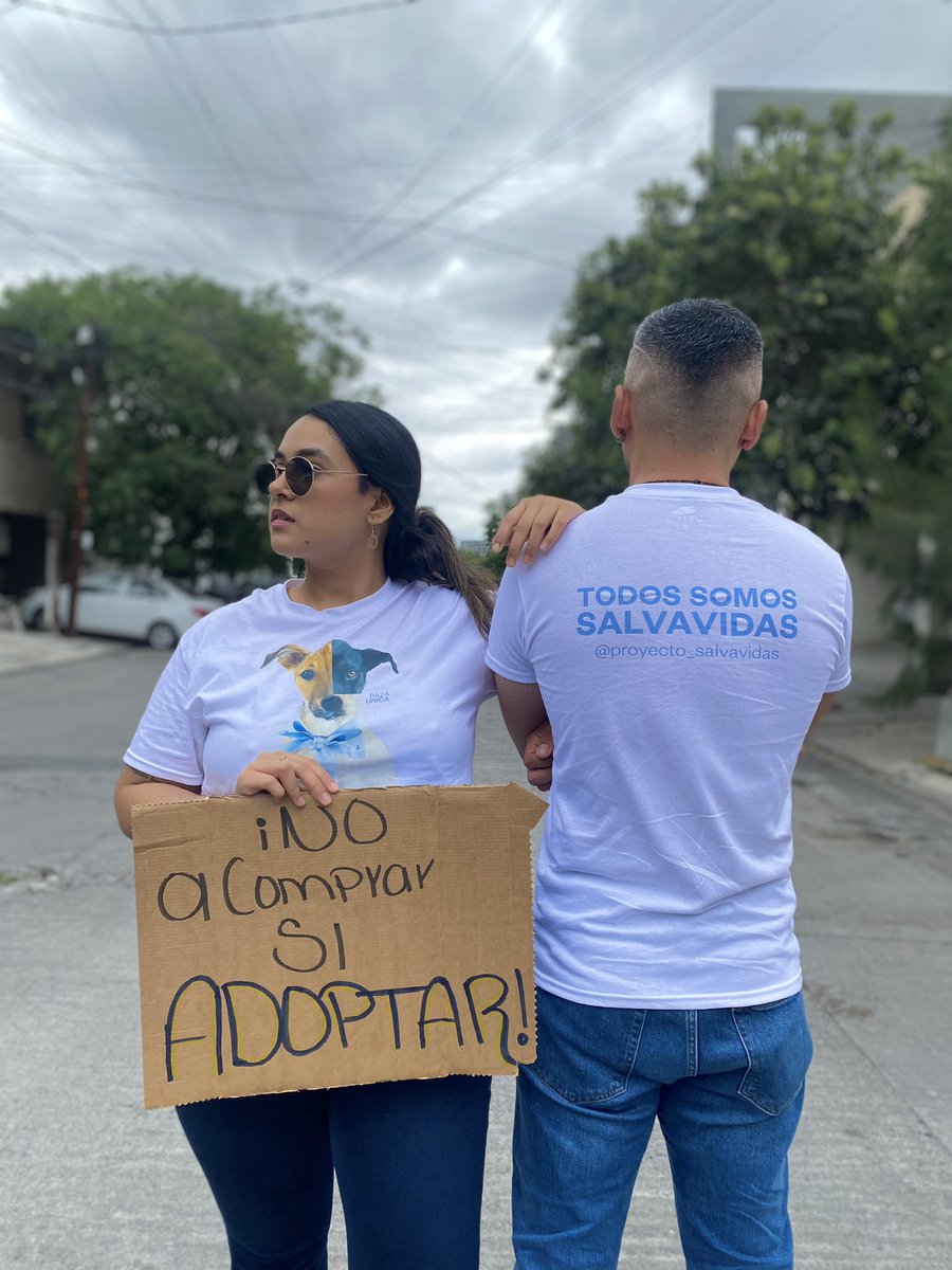 DorinaDL's tweet photo. Adoptar siempre será la mejor opción!💙 hay demasiados perritos y gatitos en busca de una familia que los ame y los cuide 

Sábado de adopción, sábado salvavidas 💙🥹 https://t.co/BT4XgNxTW0