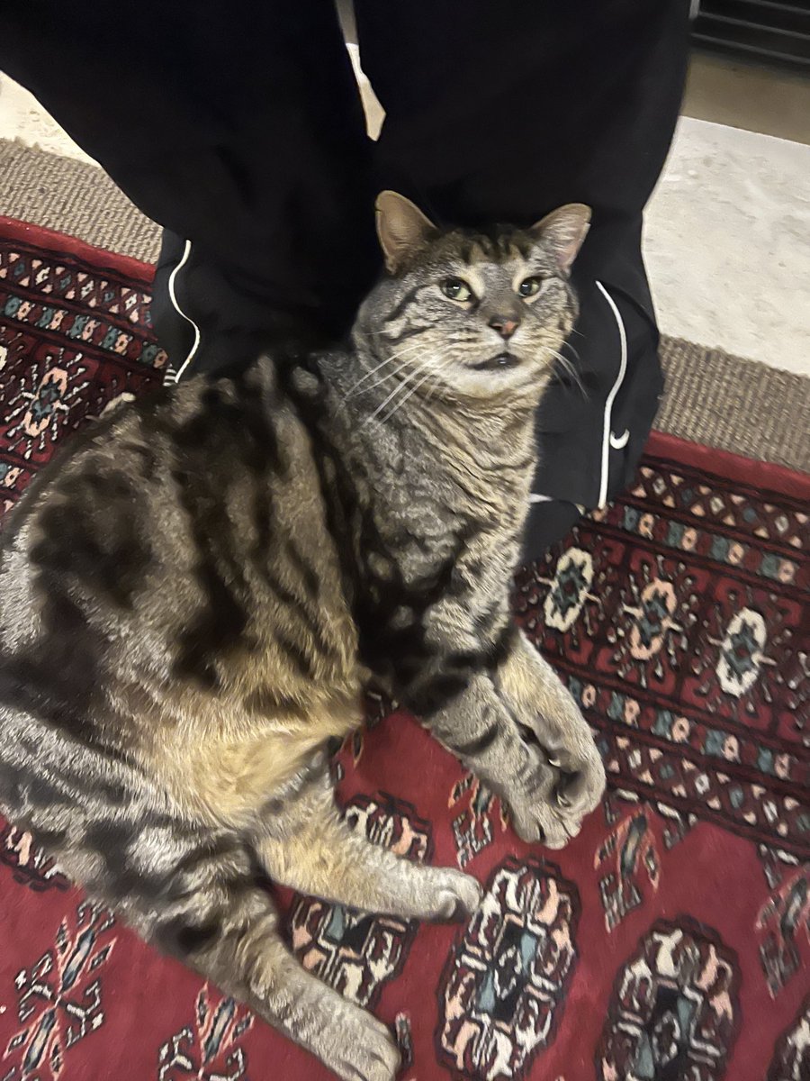 I told Gilbert “Smile!” And god love him, he tried.