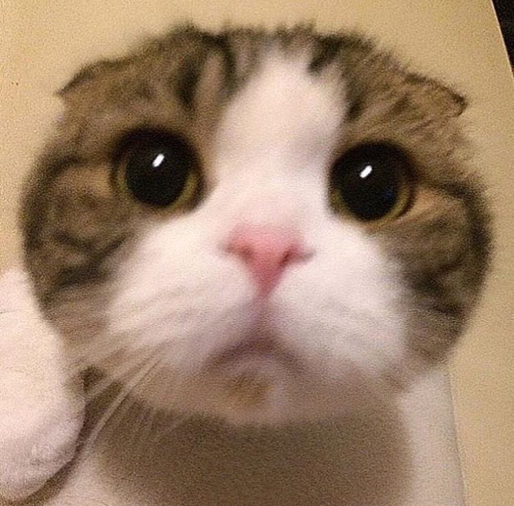 ازتون بدم میاددد چرا ایگنورم میکنید بعد من حتی ریتوییتاتونم لایک و ریت میکنم