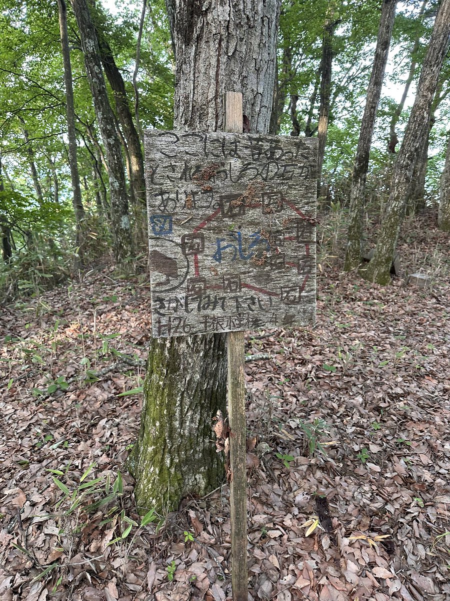 ow2im's tweet photo. コース）Sunday平尾練
距離）9.33km
ave） 9:17/km
獲得） 582m
感想）本日は秋葉山（平尾城跡）から平尾富士へ。
今日の佐久平は34度まで上がるらしく朝から熱気ムンムンノースリで全然オッケーだった。
今夏全人脱毛予定も取り敢えず脱毛クリームで足ツルツルにしたらトゲトゲとササで流血笑 https://t.co/AZoJ9PcLz3