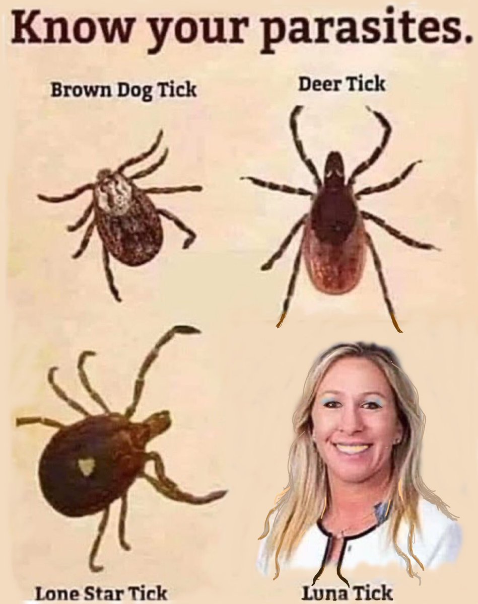 @BarbMcQuade Just watch for the ticks this time of year they’re terrible…