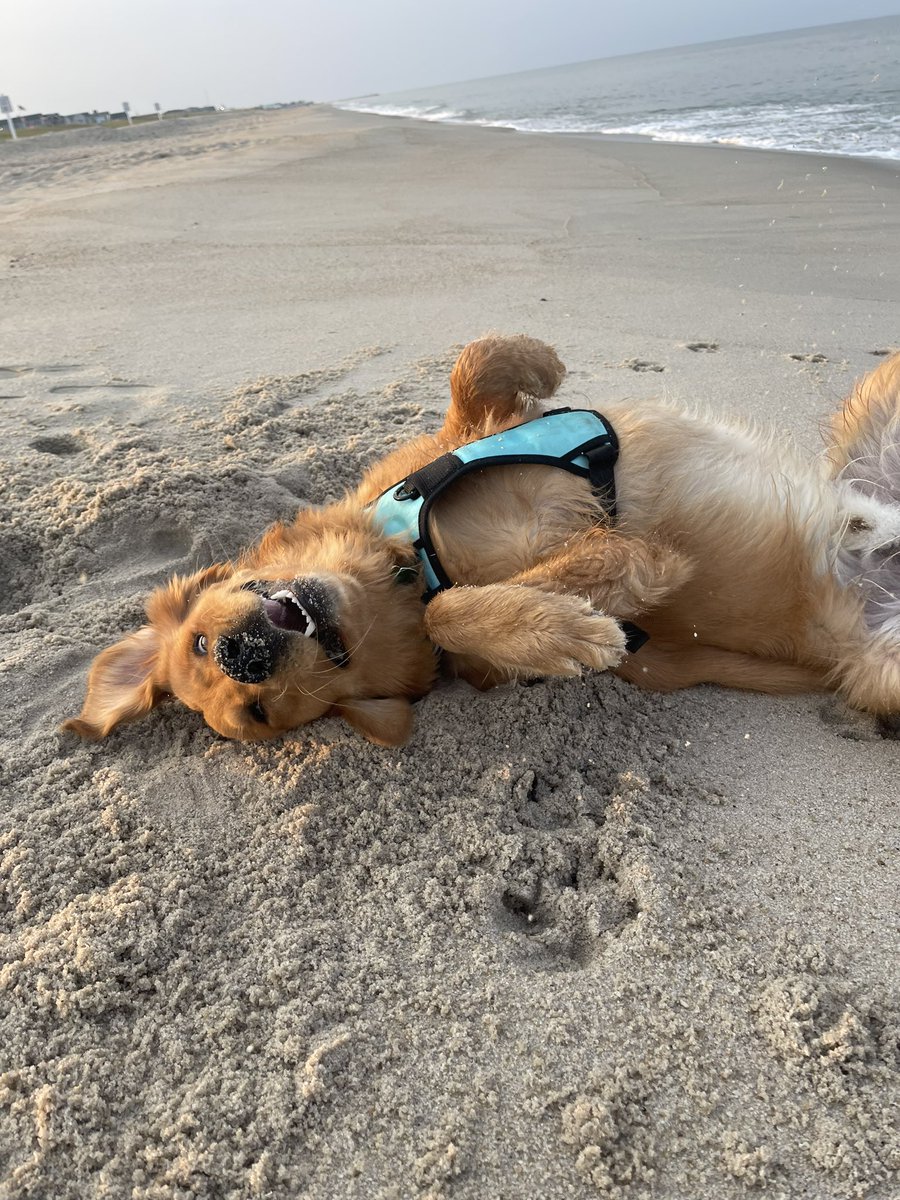 JeromeASF tweet media