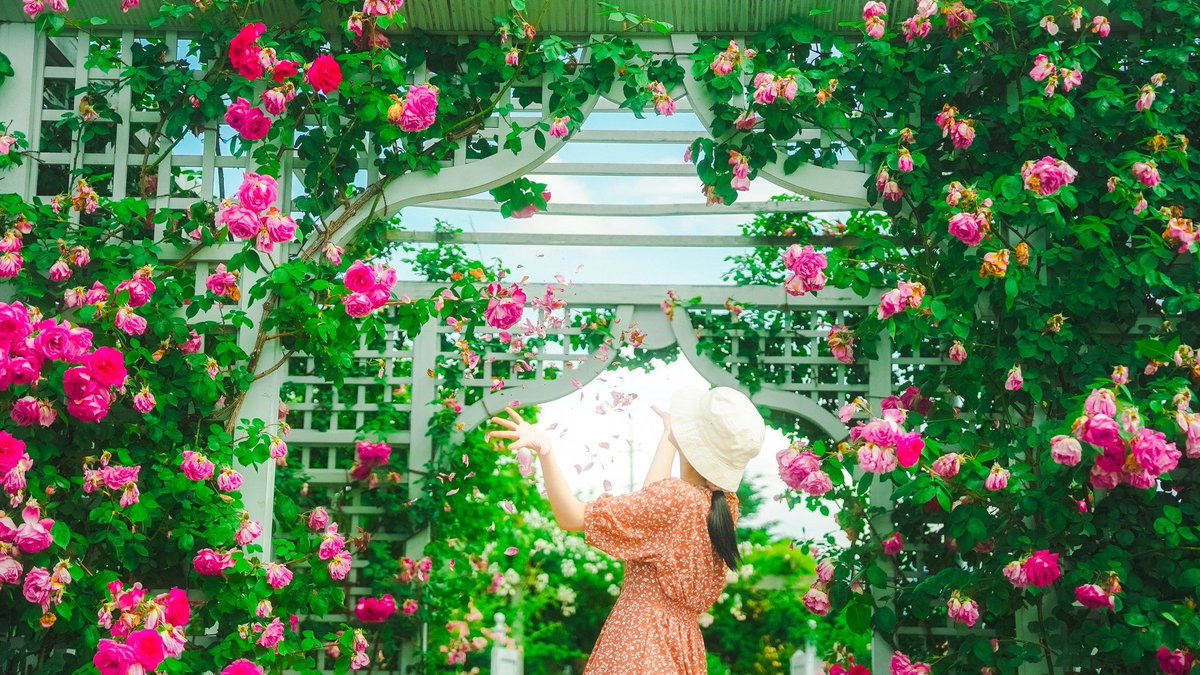 Hello Sunday🌹

おはようございます🌿

先日行ったバラまつりが
とても素敵でした😌👏

今日も素敵な一日を🥰🤍