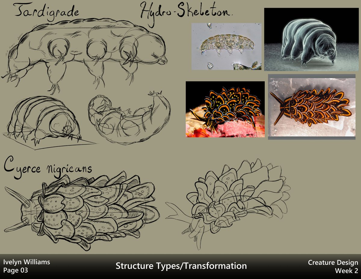ivyyersinia's tweet image. Week two of Creature Design.  Studied different skeleton structures and morphed one into another.  Pretty fun!
#dynamicsketching #creaturedesign #digitalart