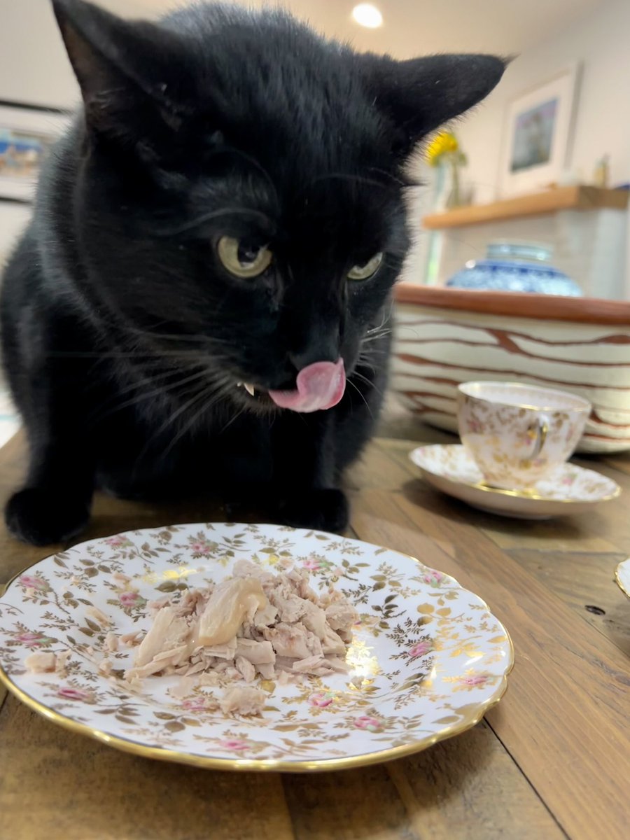 Is Caturday. Celebrating the kitties 7th birthday, so we pulled out the fine China and made them tuna cakes with Churu frosting. Are we weird? Yep 🤣 
#caturday #finechina #beweird #birthday #adoptdontshop #blackcats #panfursquad