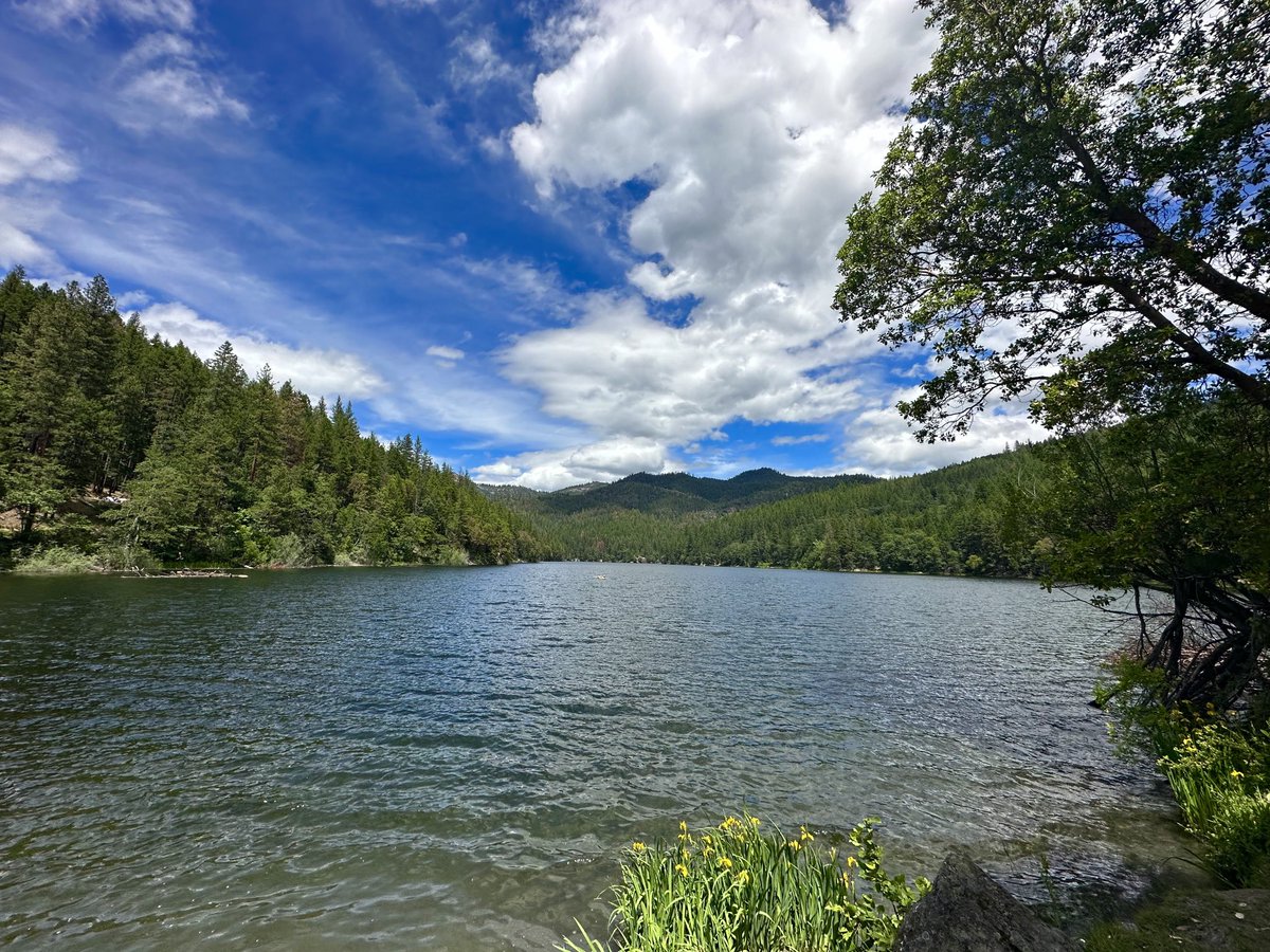 Christine Riley tweet media