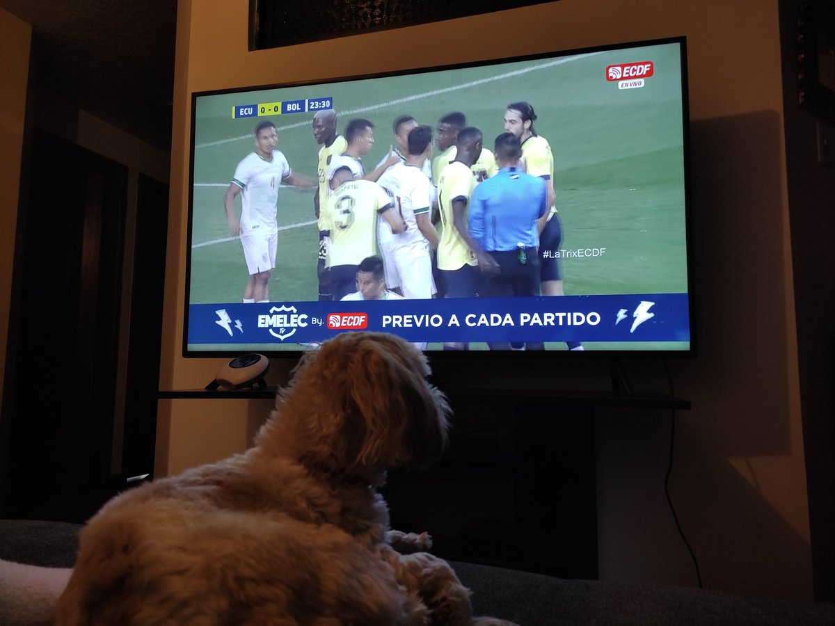 #LaTrixECDF  viendo con el abuelito y el dogo a la tri🇪🇨