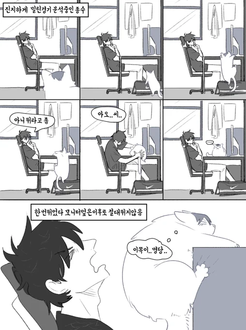 냥고상언키우는 쫑수쿤
..새하얀고양이 주워와도 취향컬러는 죽어도 안바꾸면 좋겠음 
