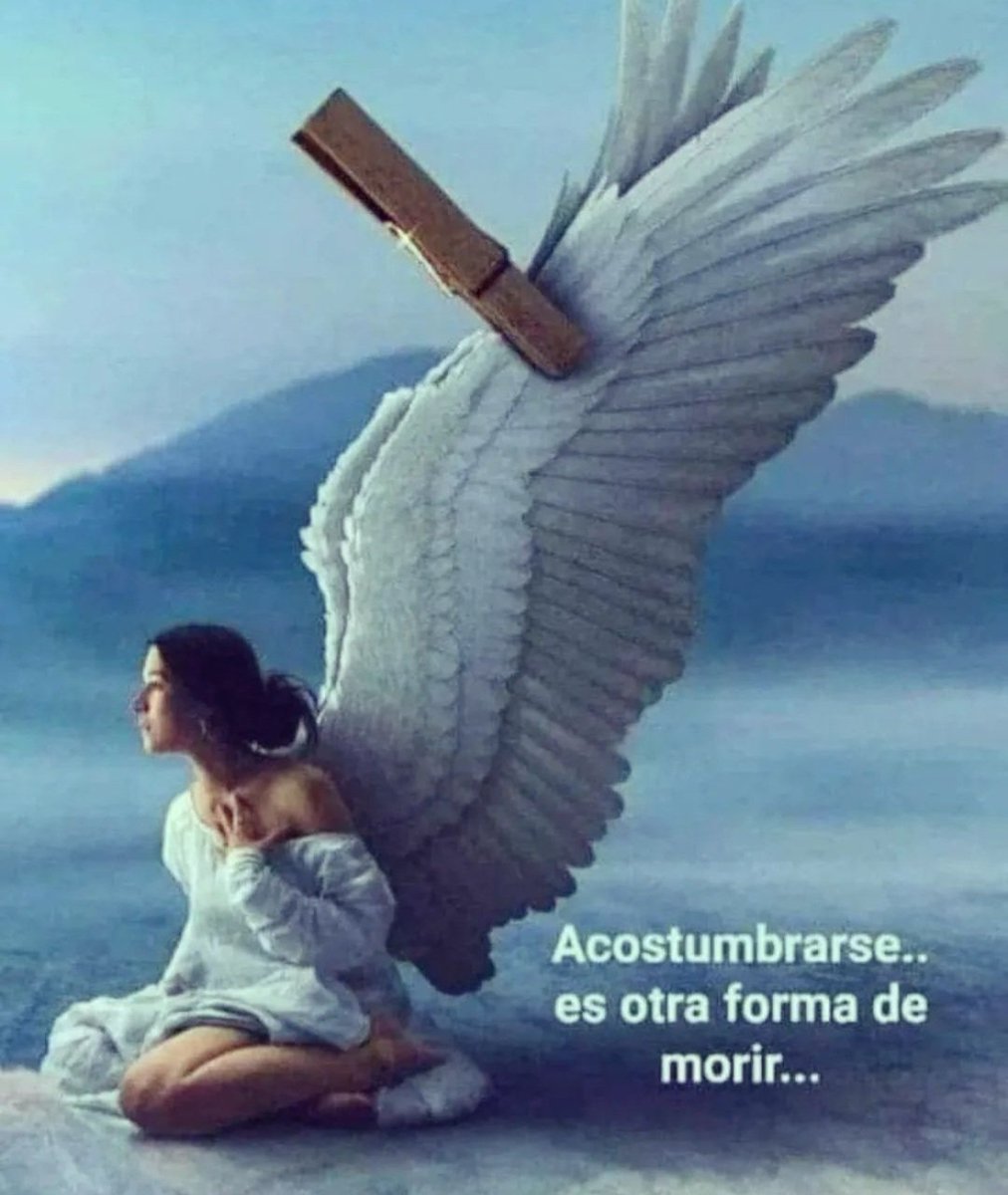 Muriel Soltec (@murielsoltec) on Twitter photo 