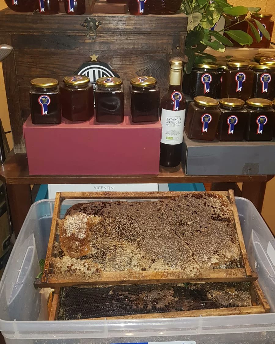 francoliliam160's tweet photo. Ideal para combatir el frío, las alergias de una manera saludable y deliciosa. Miel 100% artesanal, con  panal incluido.

Método de pago: efectivo y transferencia 

-Pick up 
-Delivery los fines de semana 

RT Y AL DM para reservas https://t.co/ajTPdf4Qfl