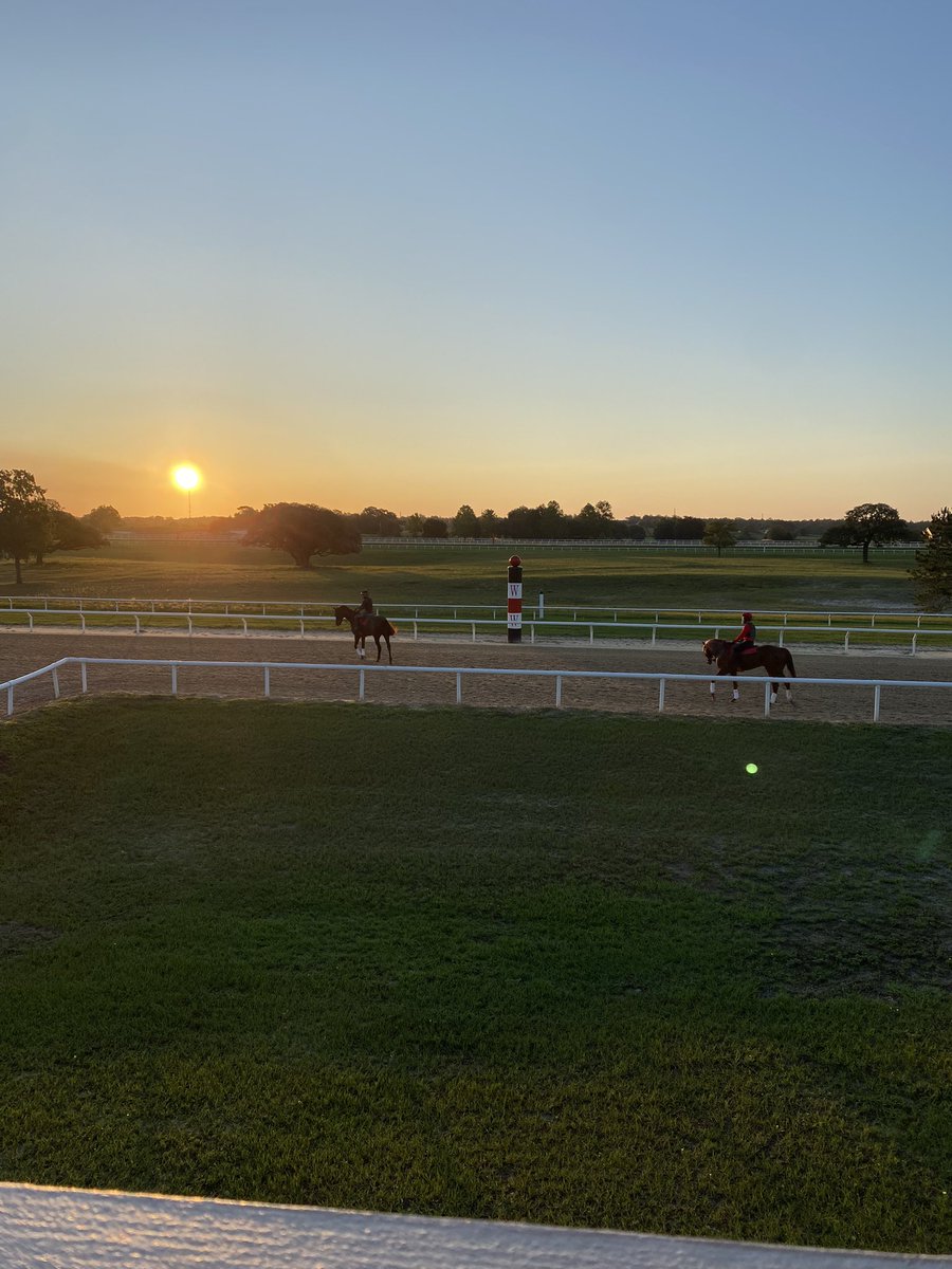 meganoleary1102's tweet photo. Extremely fortunate to have spent the past four weeks with Eddie Woods in Ocala. Thank you to Eddie, Angela and the team @eddiewoods2yos for making the experience so enjoyable 🇺🇸@FlyingStartNews #GFS2224 https://t.co/QdPUlpF2Fv