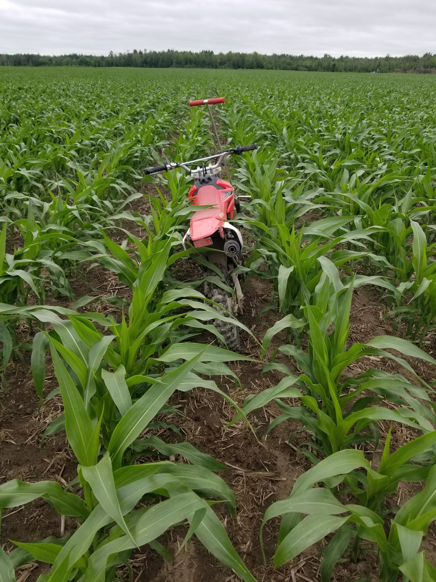 Bryan Cook tweet media