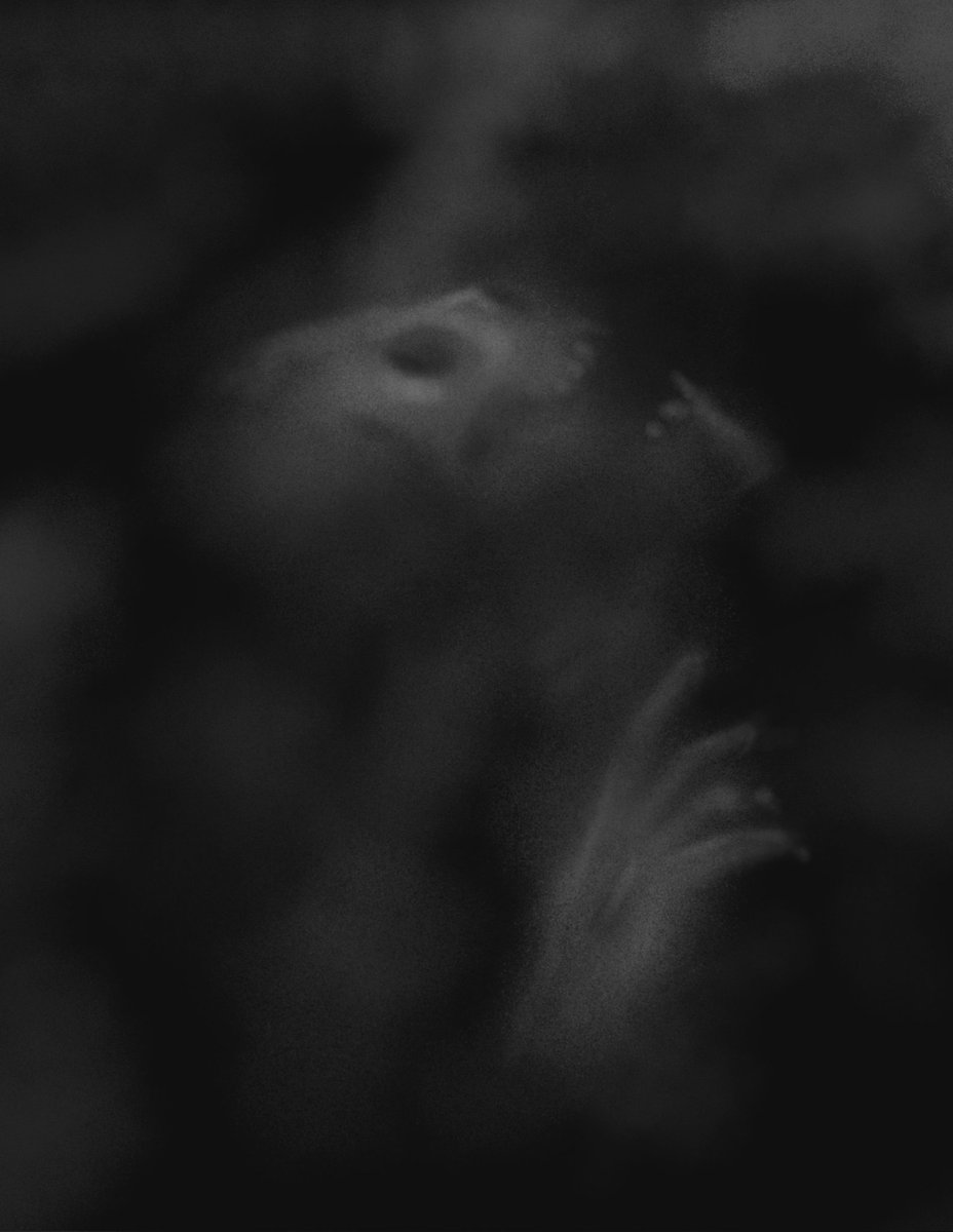 mostezezo's tweet photo. #DigitalArtist #digitalart #art  #ArtistOnTwitter #digitalpainting https://t.co/IuHDDd5Ew6