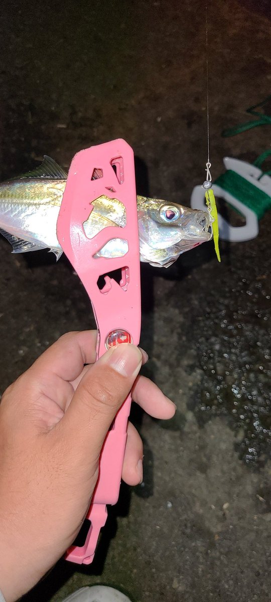 nxxxkkh's tweet image. フロートアジング
3人で63匹?
くにゃーん神バナナ
ハマればアタリの出方が明らかに違う

オススメです
#くにゃーん
#keeper_line
#level6
@keeper_line