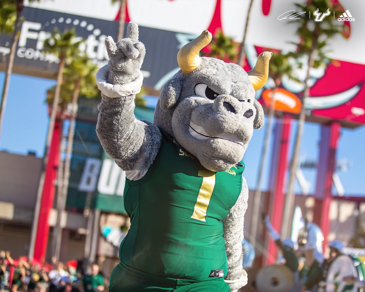 It’s #NationalMascotDay‼️

Show some love for @RockyD_Bull🤘

#ComeToTheBay | #StayInTheBay