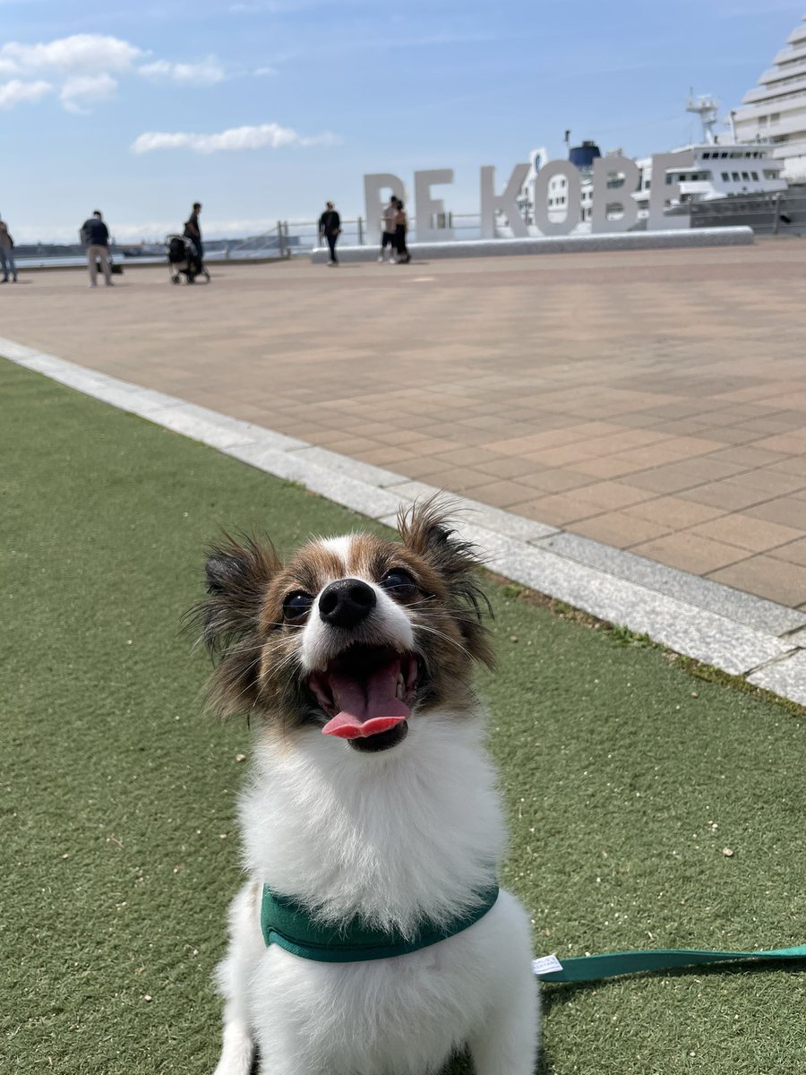 Loco20190408's tweet photo. 良い、笑顔だ！！！ https://t.co/vED3xx47eH
