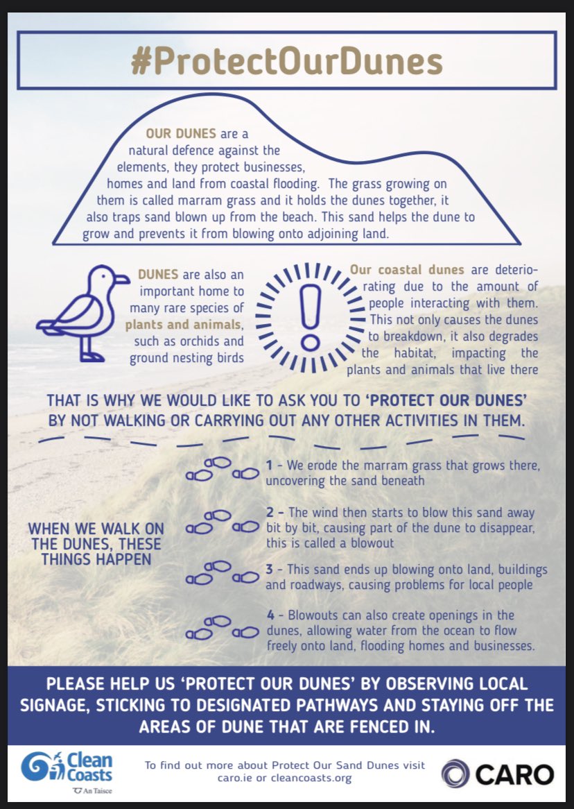 Bertra Connected tweet media