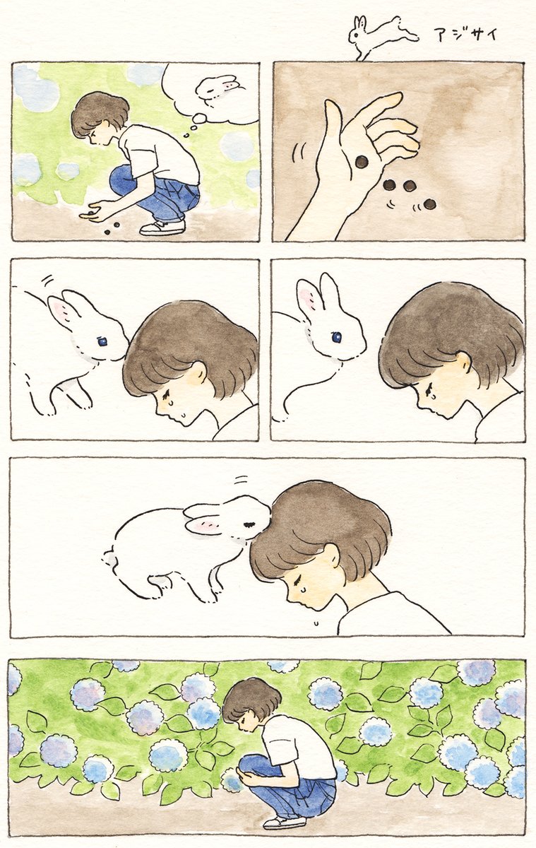 アジサイ💠💧🐇️