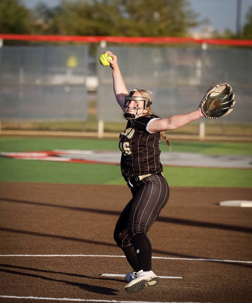 Bushland Falcon Media tweet media