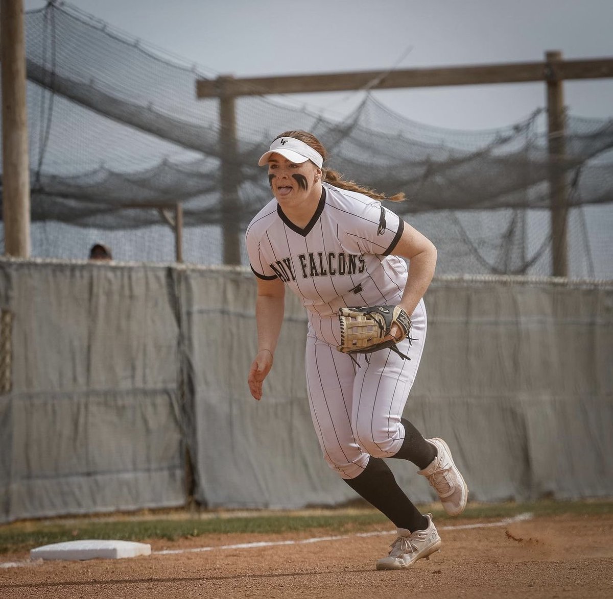 Bushland Falcon Media tweet media