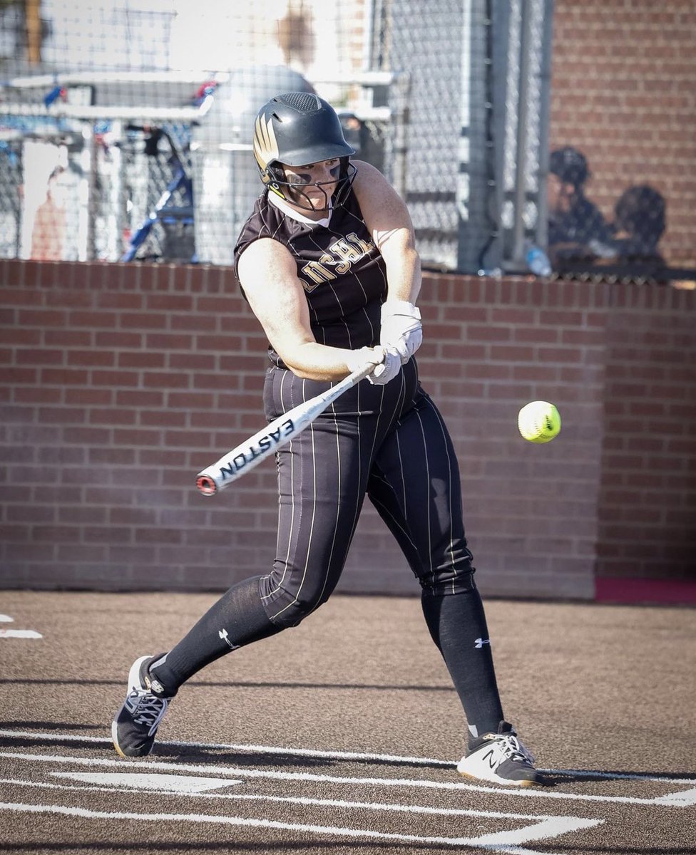 Bushland Falcon Media tweet media