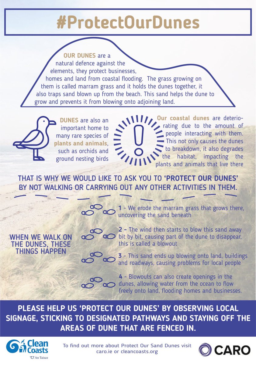 Bertra Connected tweet media