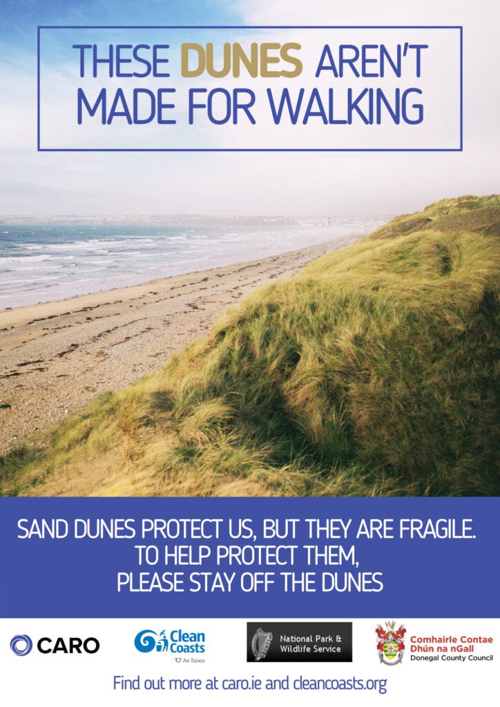 Bertra Connected tweet media