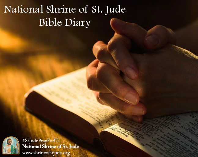 National Shrine of St. Jude Bible Diary, with readings & reflections for each day, June 18th - June 25th: bit.ly/diary6-18-23

-

#bible #biblediary #diary #dailyreadings #readings #gospel #gospels #read #study #catholic #romancatholic #reading #reflection #God #Jesus #day