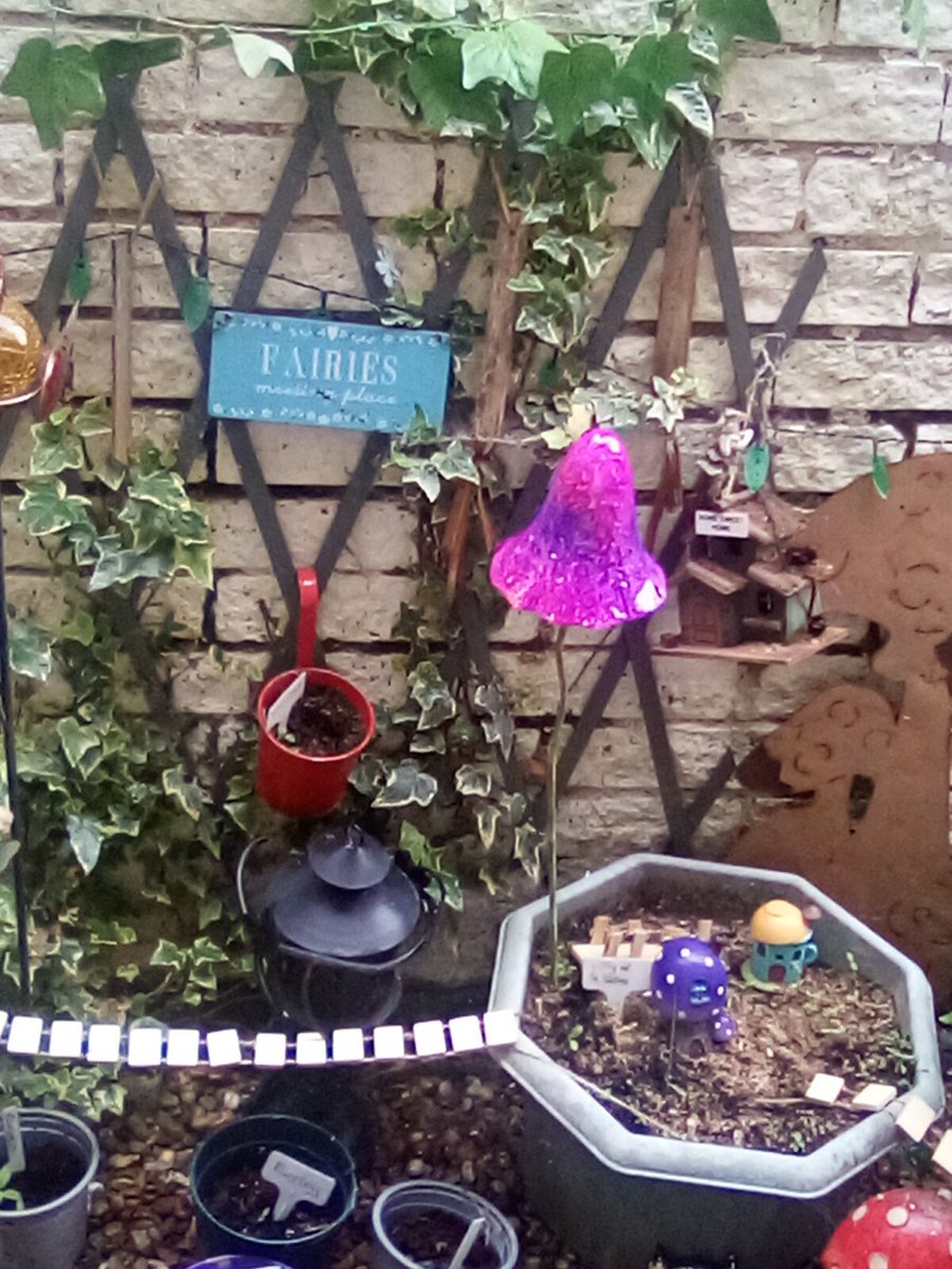 JoanneFreyja's tweet photo. Happy Fairies in my back garden #TinyArea #fairyland π #fairycam #fairyland πππ https://t.co/eB7BuQdlU5