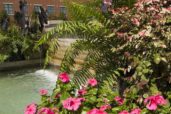 Another enjoyable day of calls/texts! Did you know that Mizzou is a botanic garden? Our campus is beautiful! #MIZ #TakeTheStairs