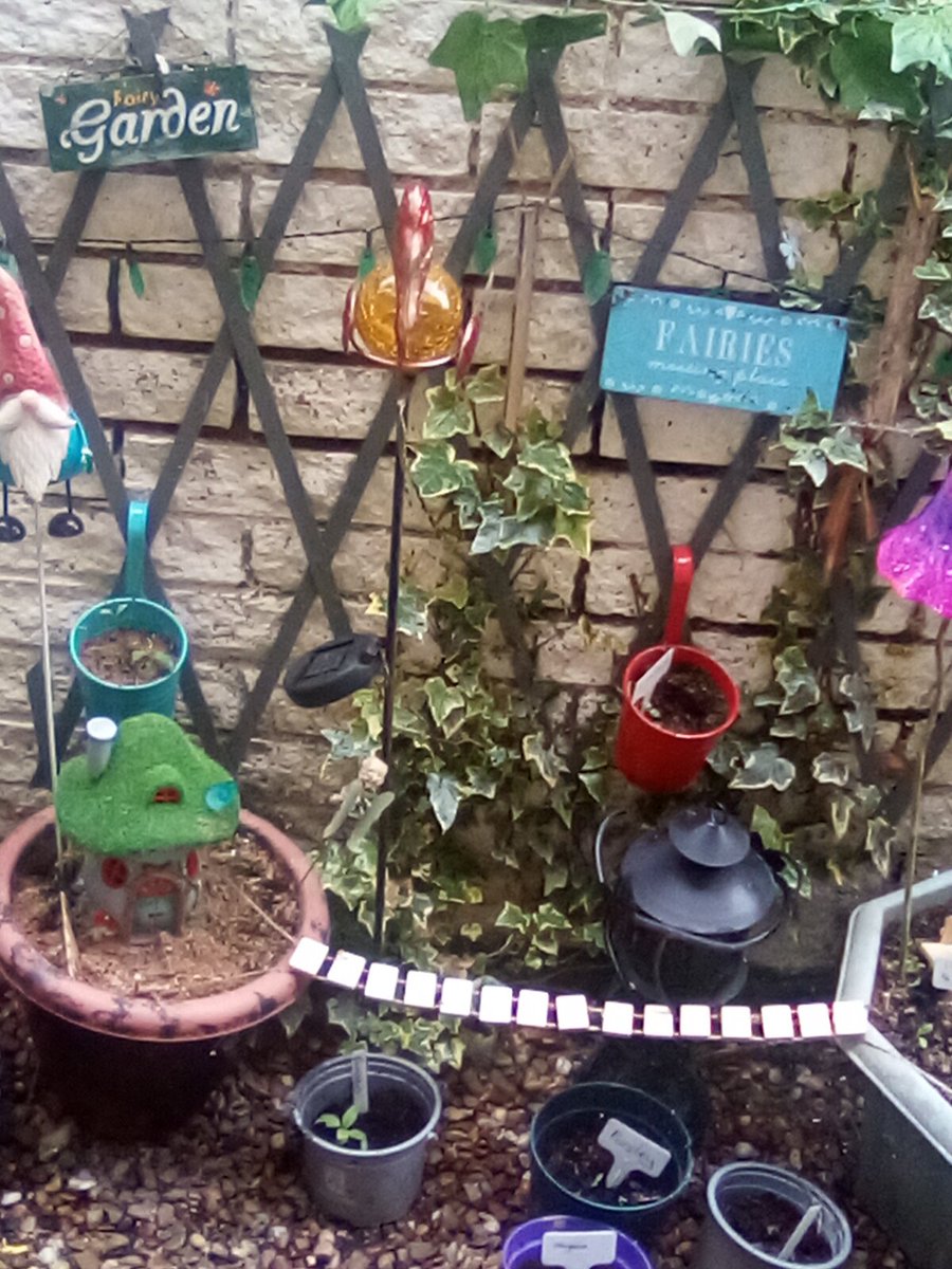 Happy Fairies in my back garden #TinyArea #fairyland 💘 #fairycam #fairyland 💘💘💘