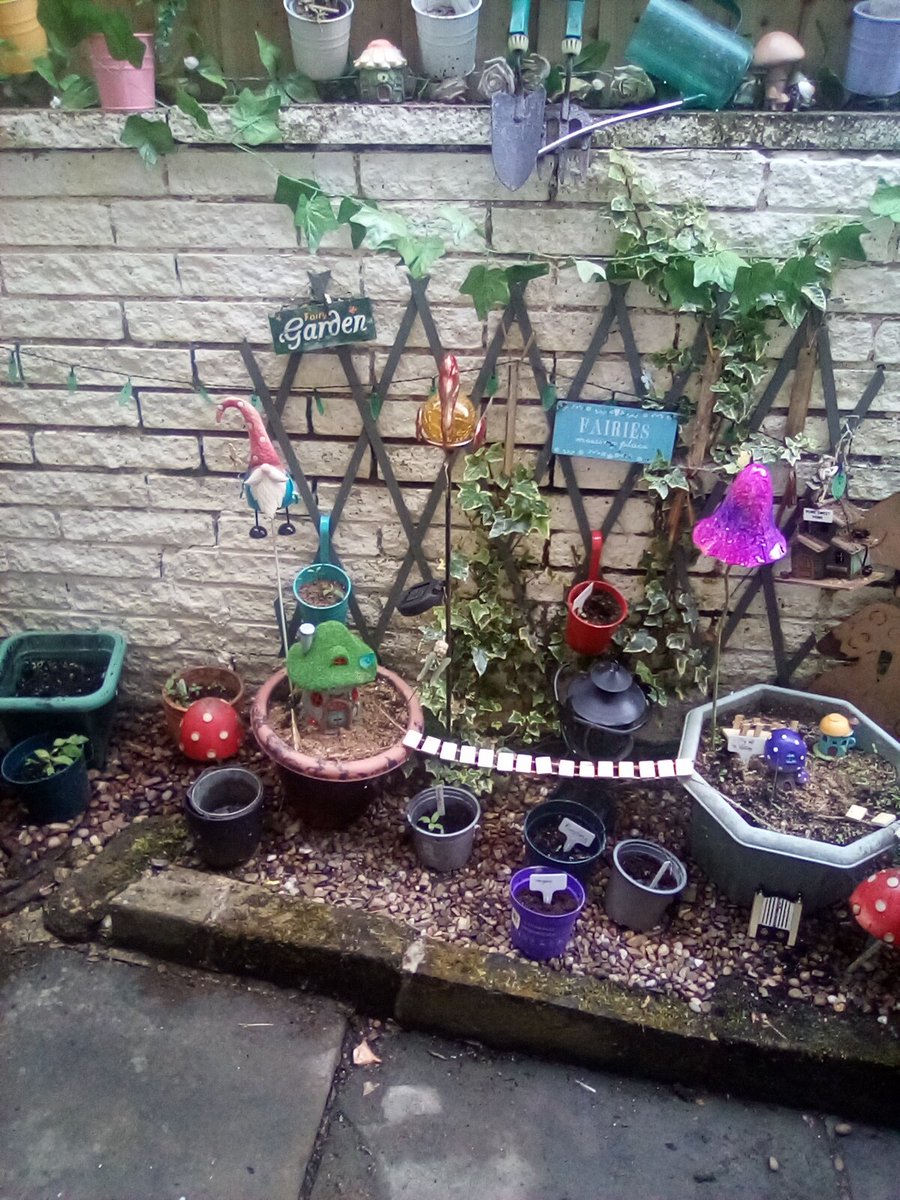 Happy Fairies in my back garden #TinyArea #fairyland 💘 #fairycam #fairyland 💘💘💘