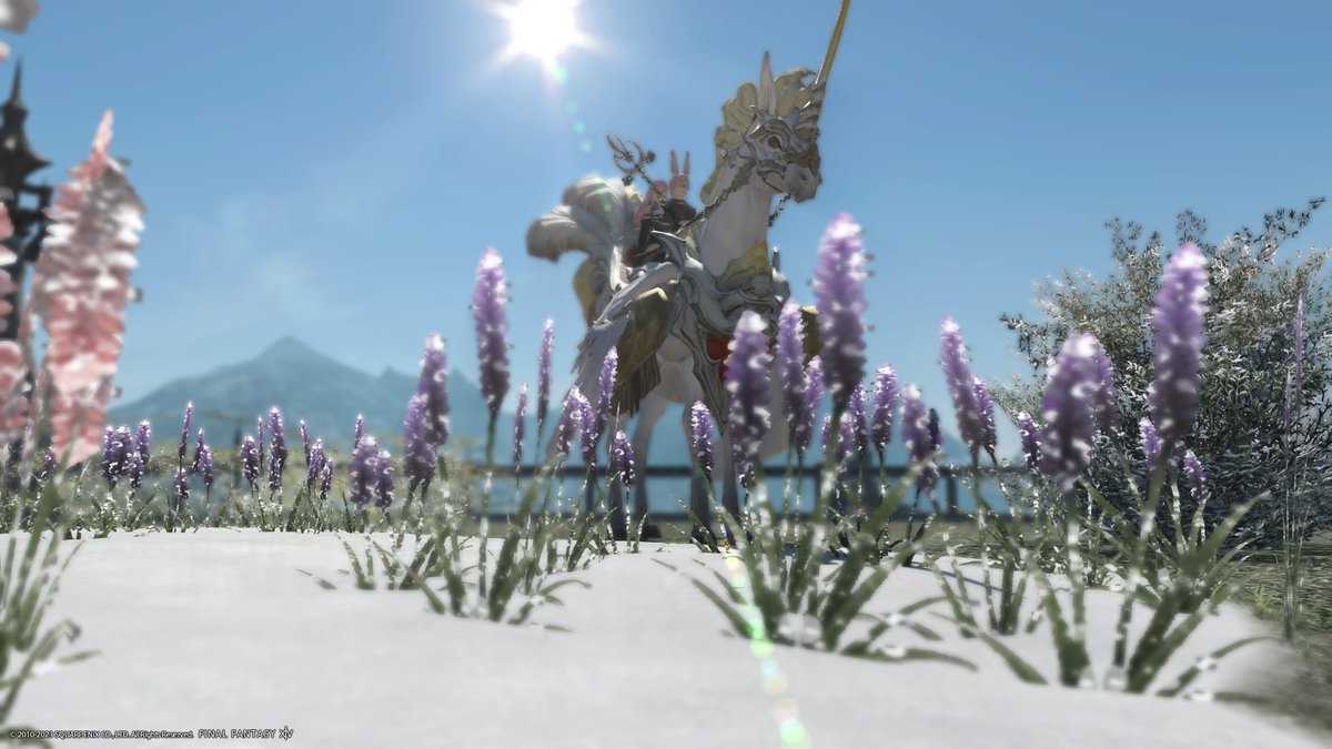 CaffineCreation's tweet photo. 2000/2000 mentor roulettes after a couple years of grindng :)  #PS4share https://t.co/UaMQLwzO19