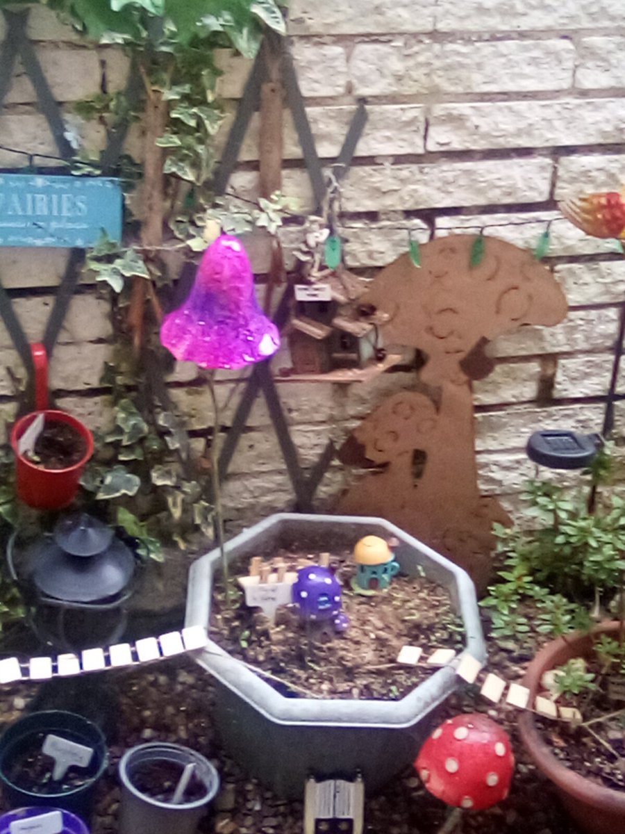 Happy Fairies in my back garden #TinyArea #fairyland 💘 #fairycam #fairyland 💘💘💘