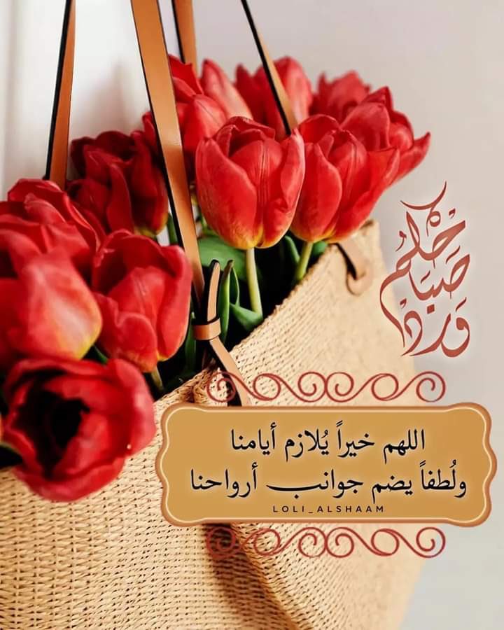 زهرة النرجس (@ryejgnvqqpq0azy) on Twitter photo 