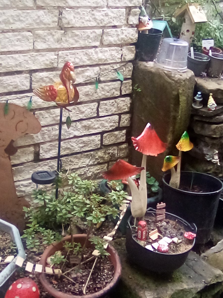 Happy Fairies in my back garden #TinyArea #fairyland 💘 #fairycam #fairyland 💘💘💘