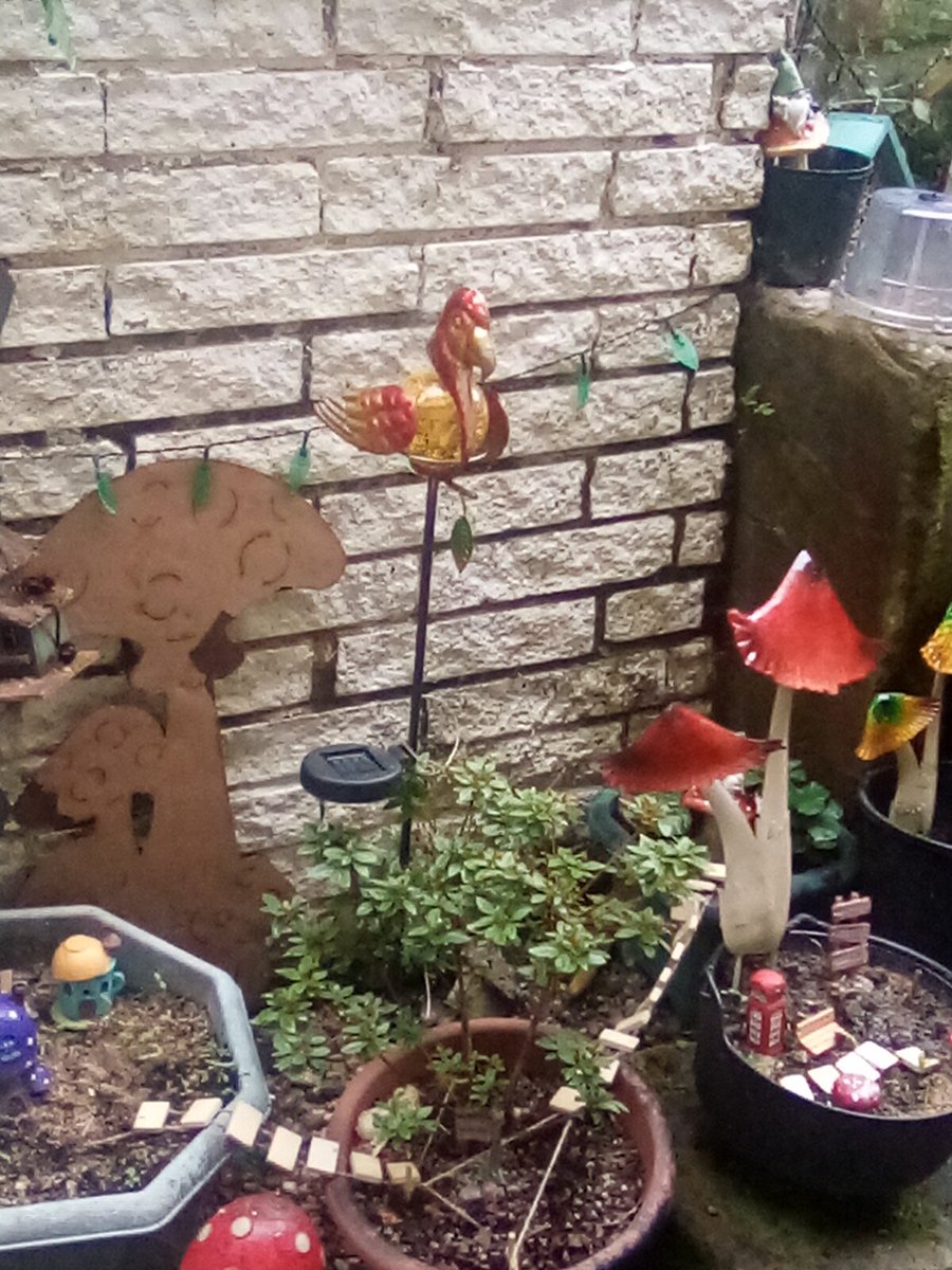 JoanneFreyja's tweet photo. Happy Fairies in my back garden #TinyArea #fairyland π #fairycam #fairyland πππ https://t.co/z5PhQUJjmt