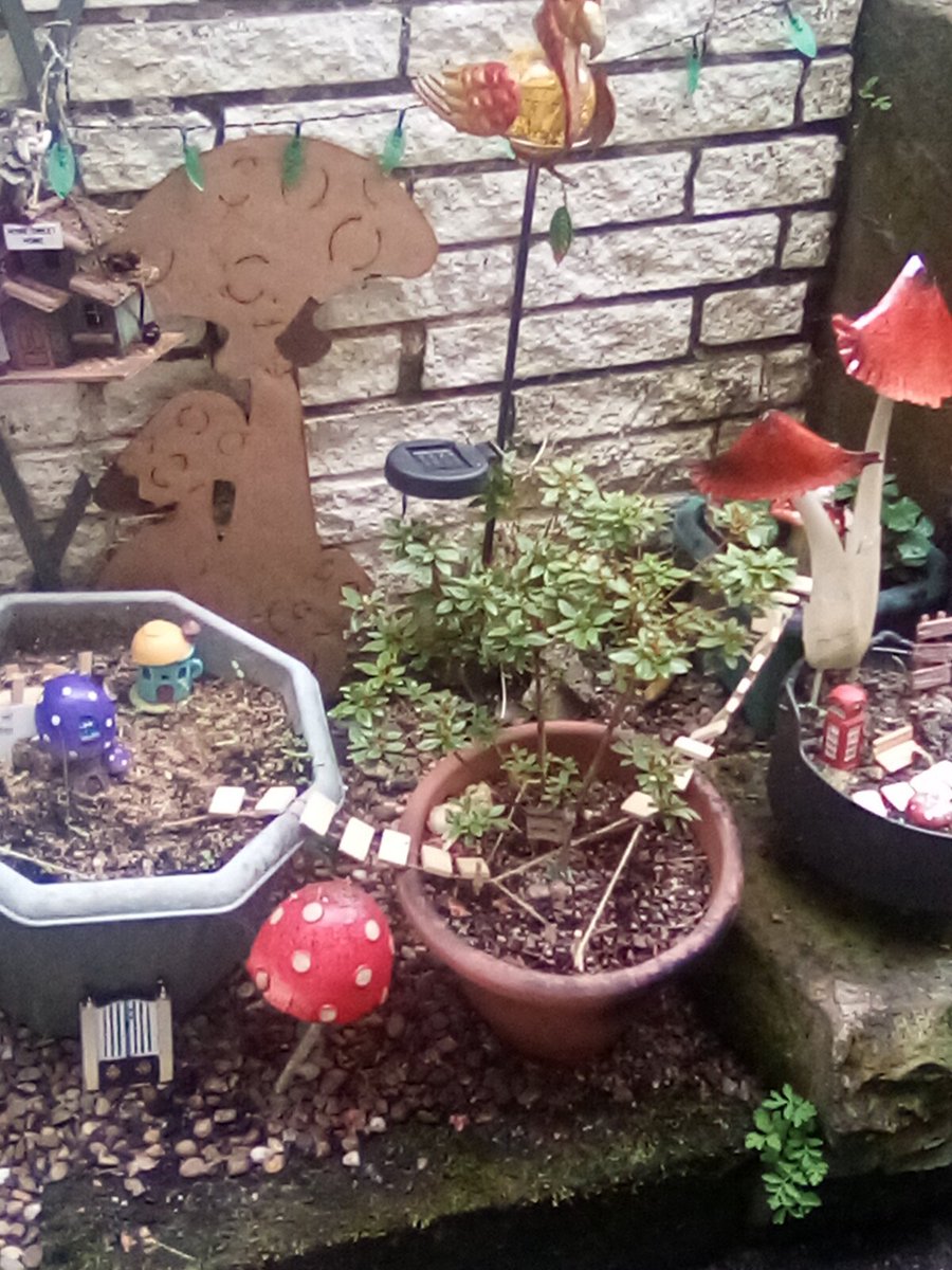 Happy Fairies in my back garden #TinyArea #fairyland 💘 #fairycam #fairyland 💘💘💘