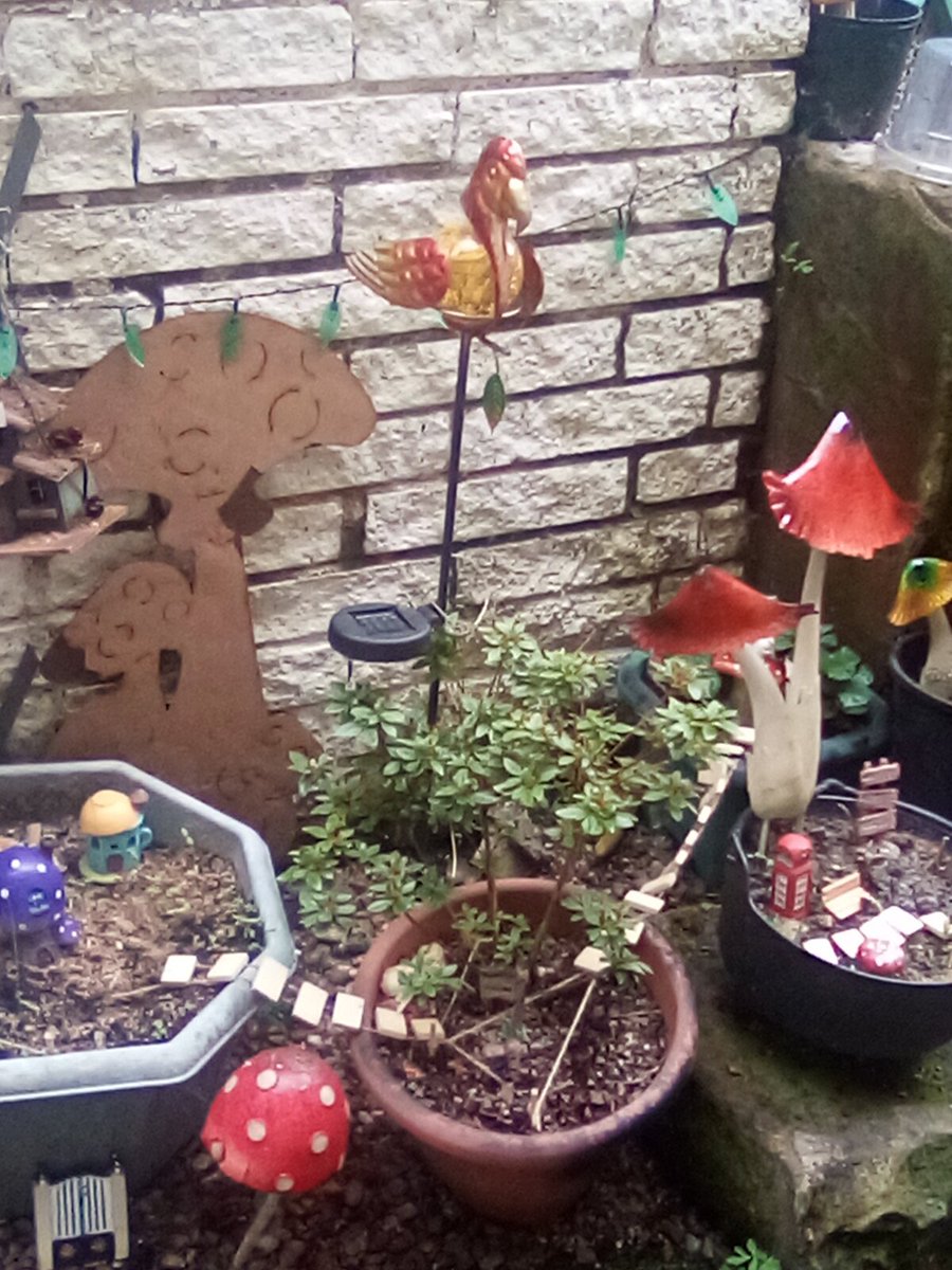JoanneFreyja's tweet photo. Happy Fairies in my back garden #TinyArea #fairyland π #fairycam #fairyland πππ https://t.co/64idQJn7I8