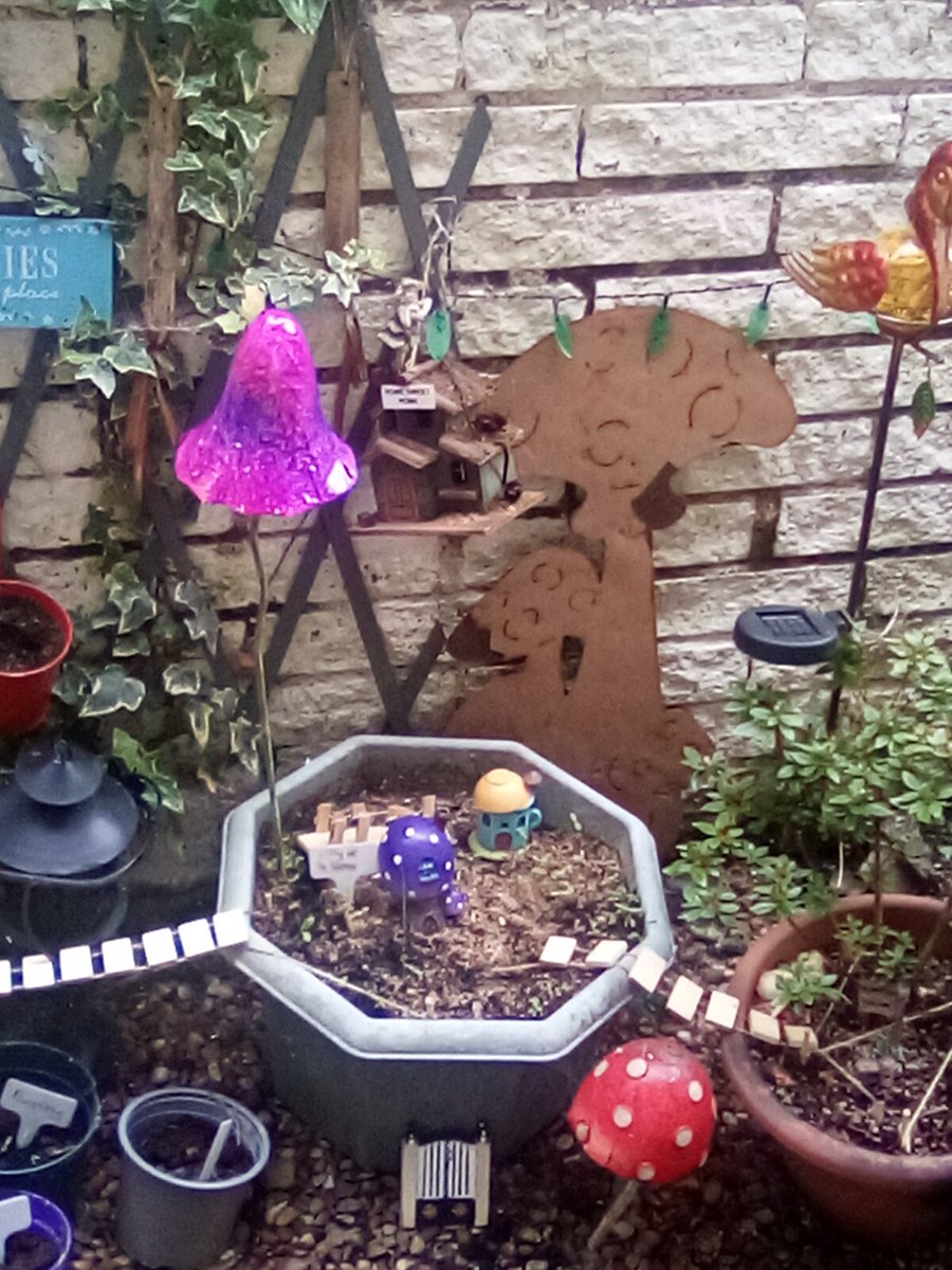 Happy Fairies in my back garden #TinyArea #fairyland 💘 #fairycam #fairyland 💘💘💘