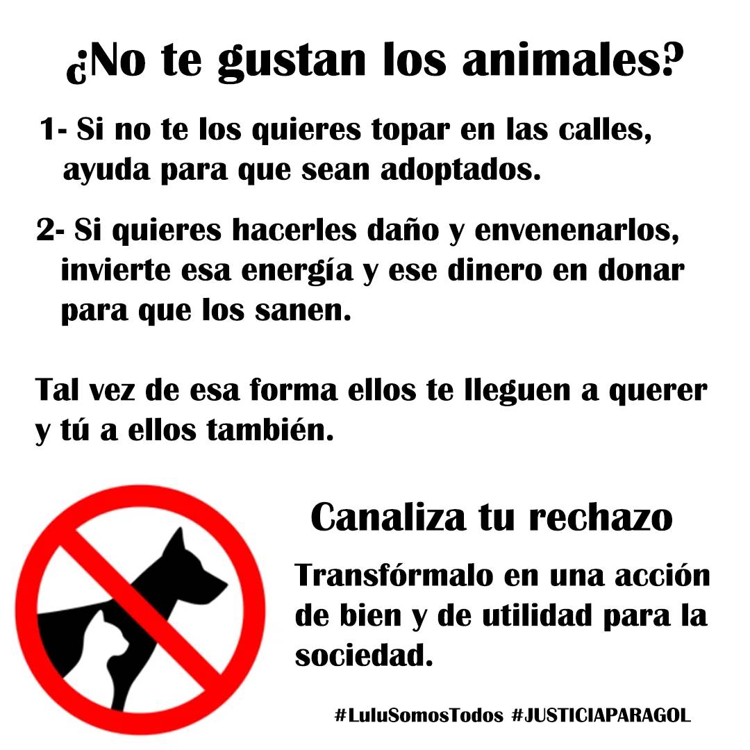 Gracilaria235's tweet photo. #17Jun Estoy en contra del maltrato a cualquier ser vivo. Cuando uno tiene una relación  directa con la Biología, comienza a ver el mundo de manera diferente. Castigo para los maltratadores. Es contigo  #CarmenSanchez, #Isolina  #CarolinaCorona  y tu #Machu #LuluSomosTodos https://t.co/EWPTYmw8y8