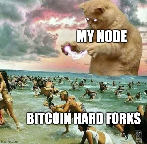 orthodoxbitcoin's tweet image. Bring it BlackRock. #getforked