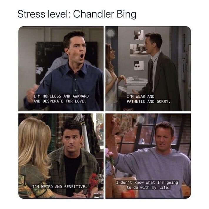 I am, 10,000% Chandler Bing.