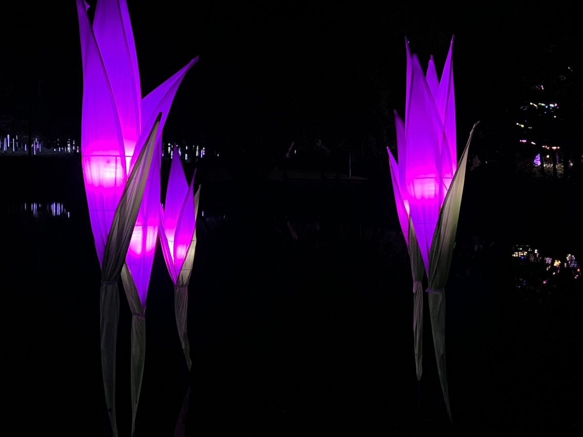 Prof Lisa Adkins (@adkinsprof) on Twitter photo Finally made it to <a href="/VividSydney/">Vivid Sydney</a> for walk through the <a href="/BotanicSydney/">Botanic Gardens of Sydney</a> #weekend #SydneyinWinter Finally made it to <a href="/VividSydney/">Vivid Sydney</a> for walk through the <a href="/BotanicSydney/">Botanic Gardens of Sydney</a> #weekend #SydneyinWinter